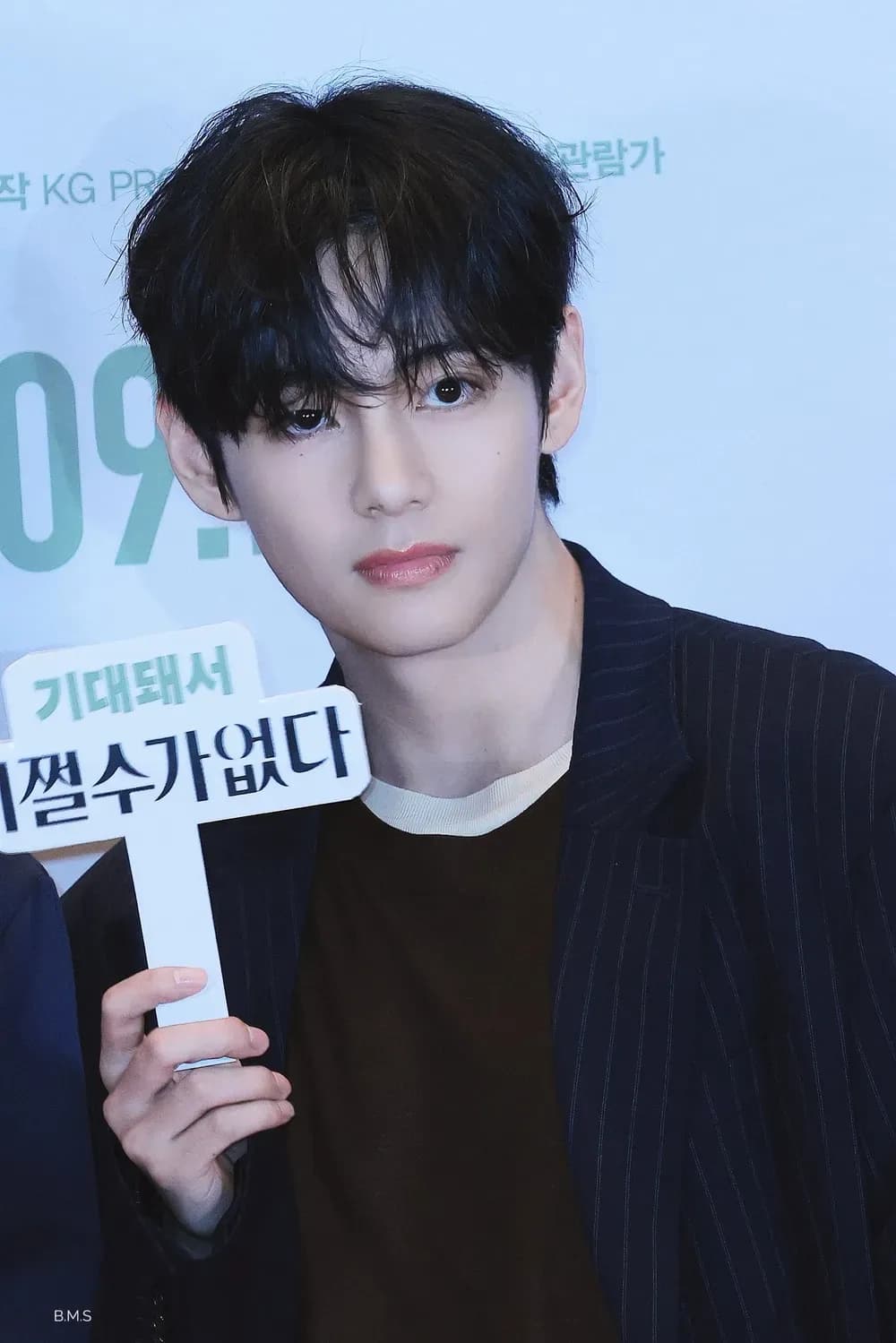 BTS 뷔